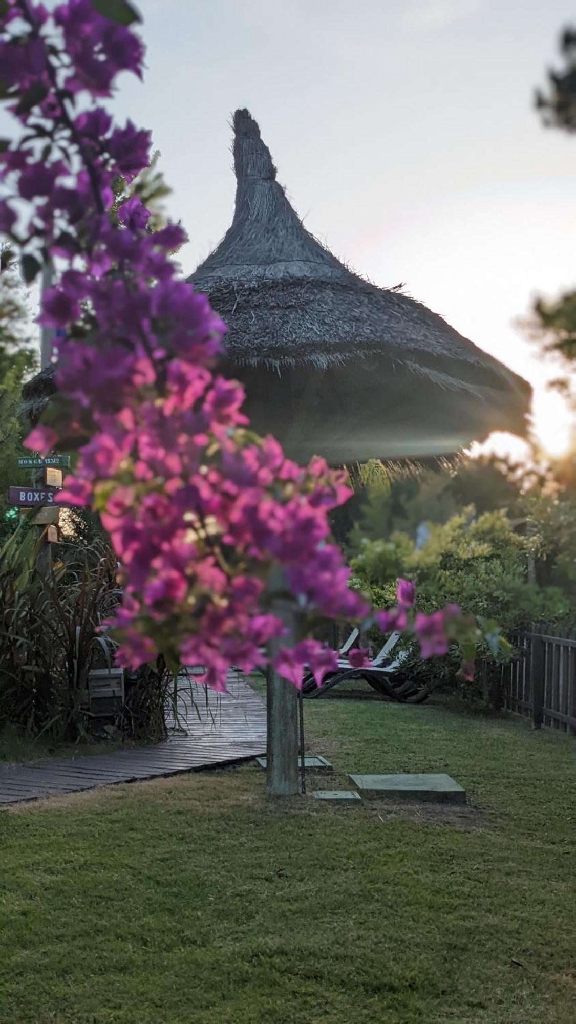 Resort 77 ปีรีอาโปลิส ภายนอก รูปภาพ